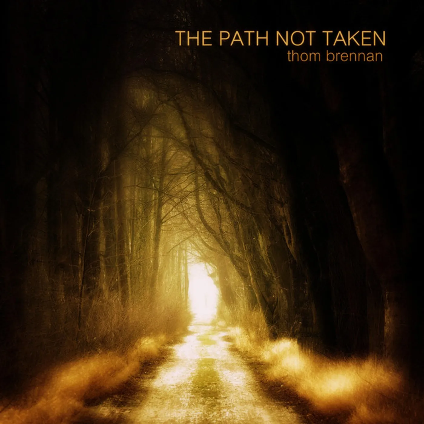 Thom Brennan PATH NOT TAKEN CD