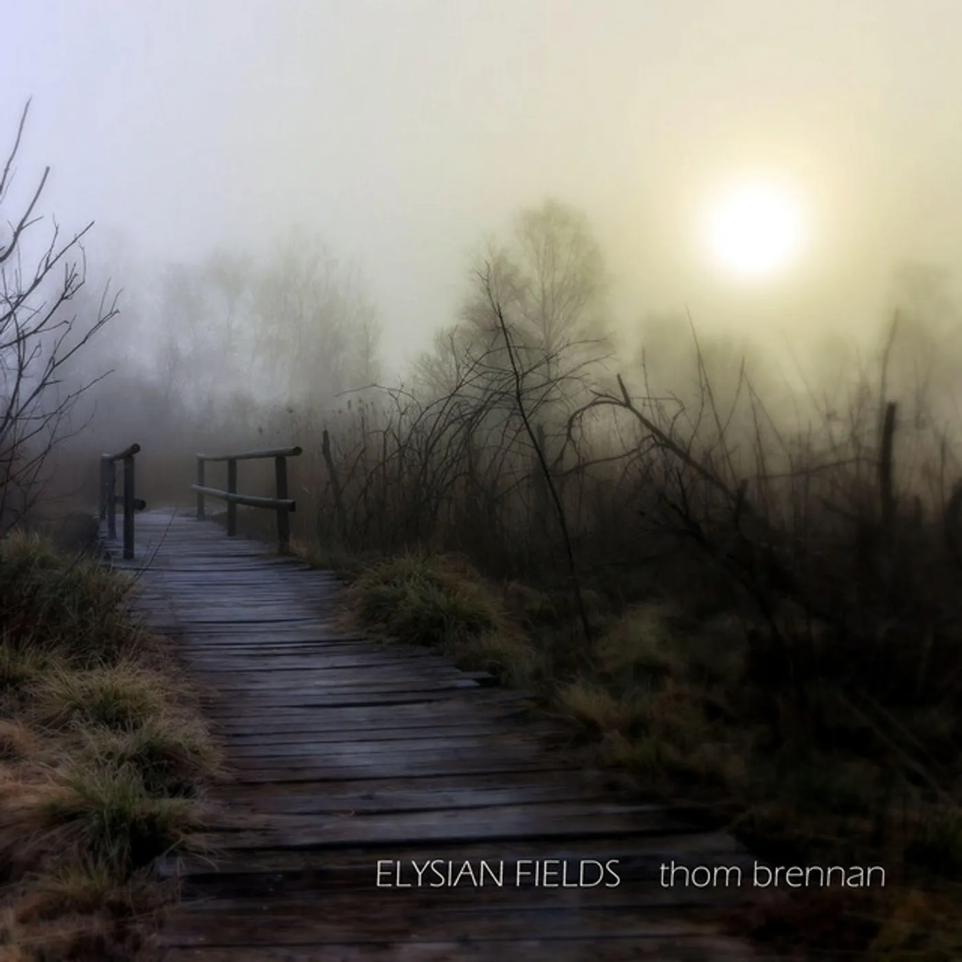 Thom Brennan ELYSIAN FIELDS CD