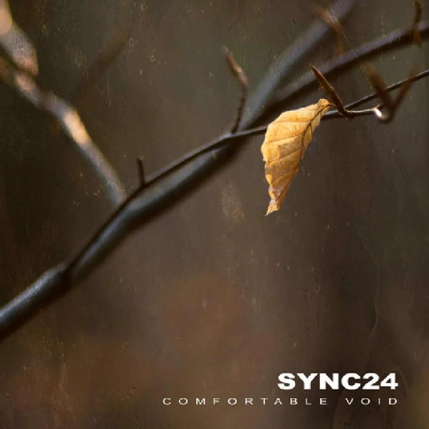 Sync24 COMFORTABLE VOID CD