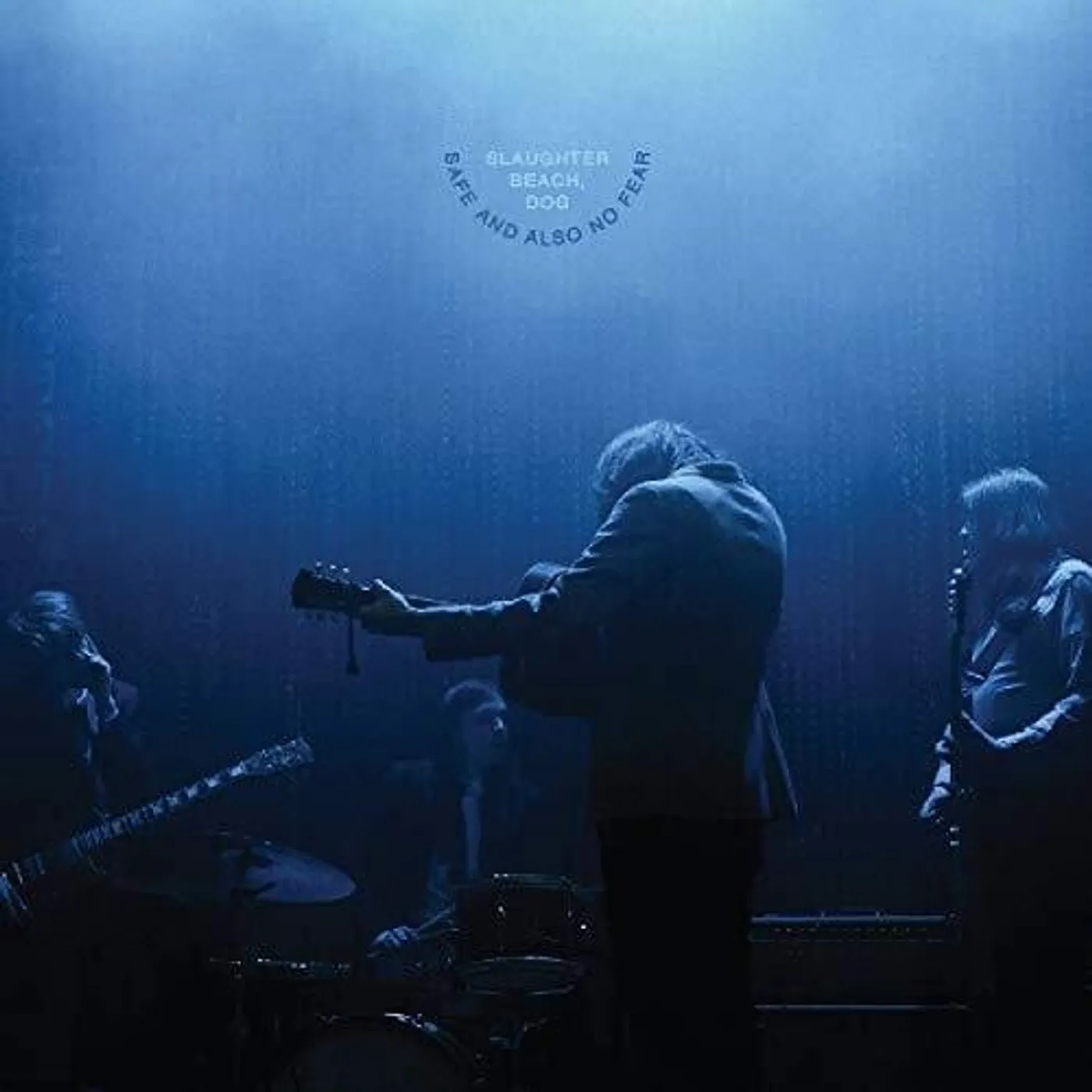 Slaughter Beach, Dog Safe And Also No Fear Vinyl Record