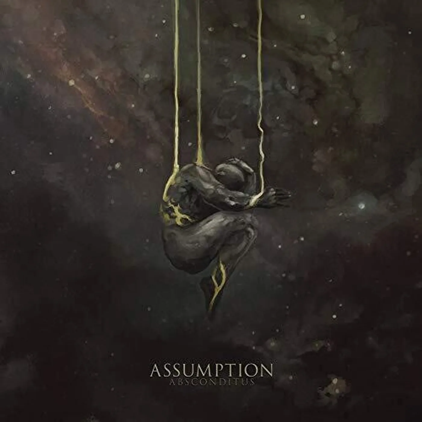 Assumption Absconditus Vinyl Record