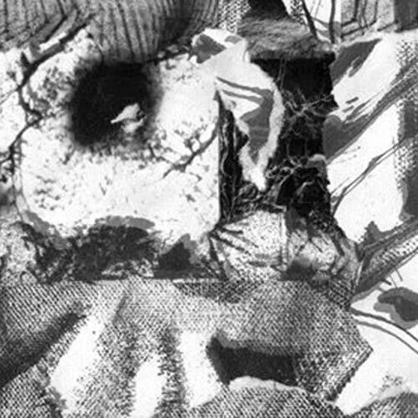 Leila Bordreuil Headflush Vinyl Record