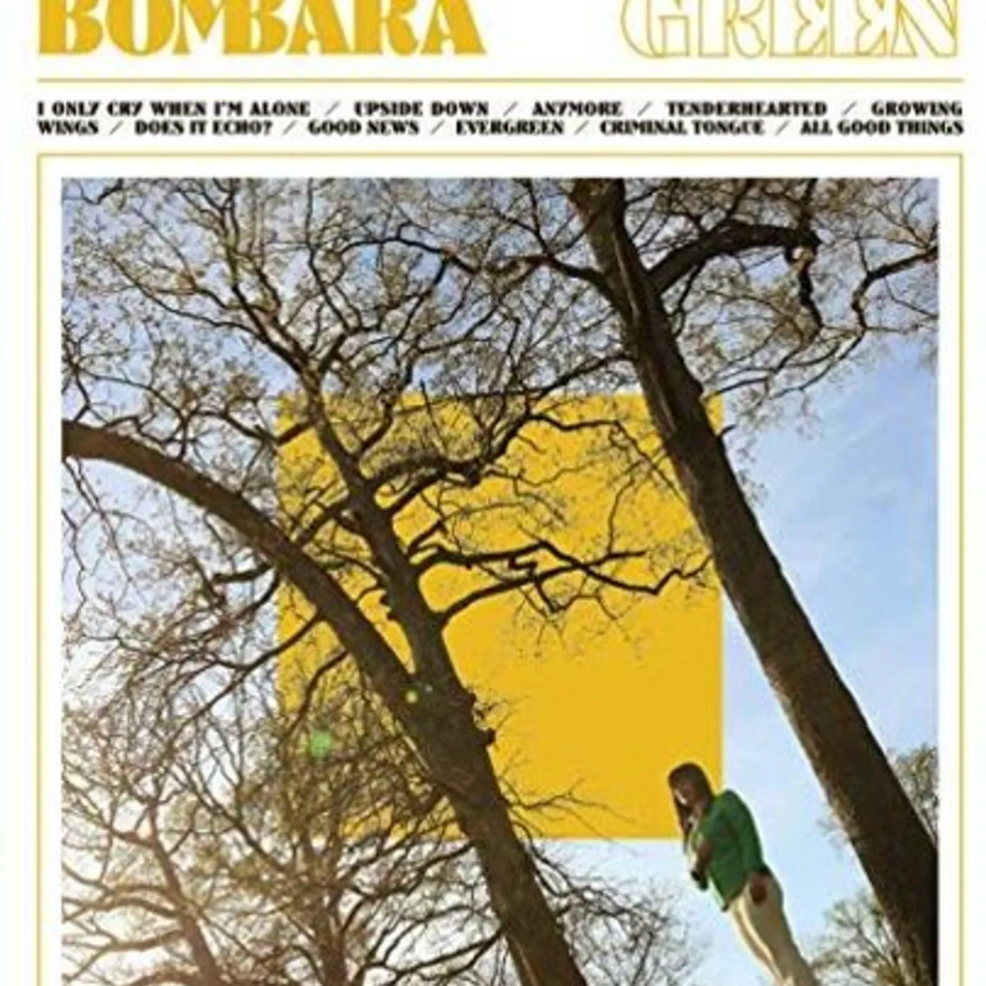 Beth Bombara Evergreen Vinyl Record