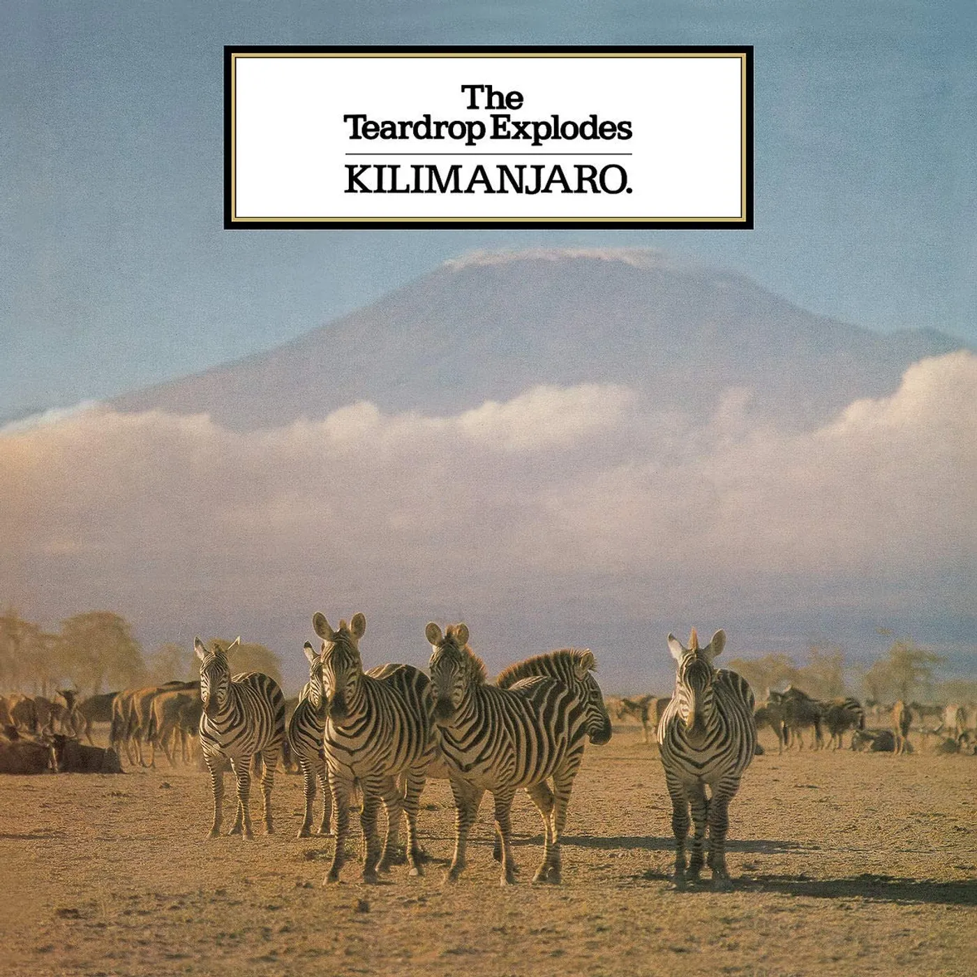 The Teardrop Explodes Kilimanjaro Vinyl Record
