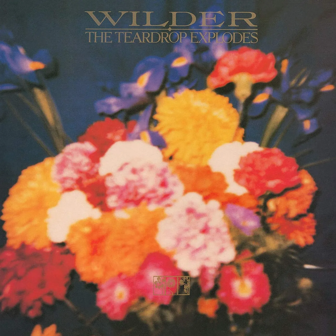 The Teardrop Explodes Wilder Vinyl Record