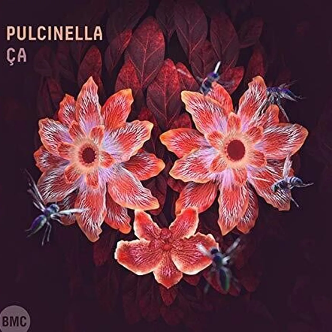 Pulcinella CA CD