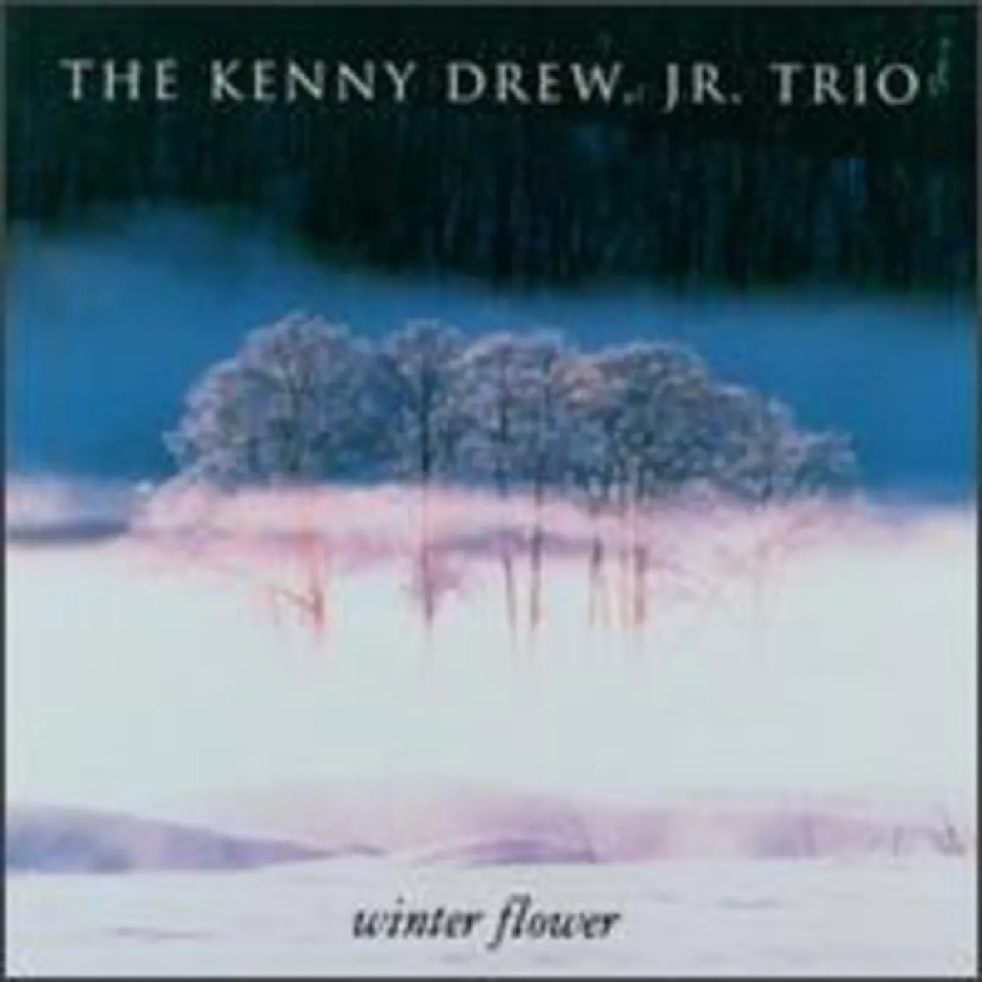 Kenny Drew WINTER FLOWER CD