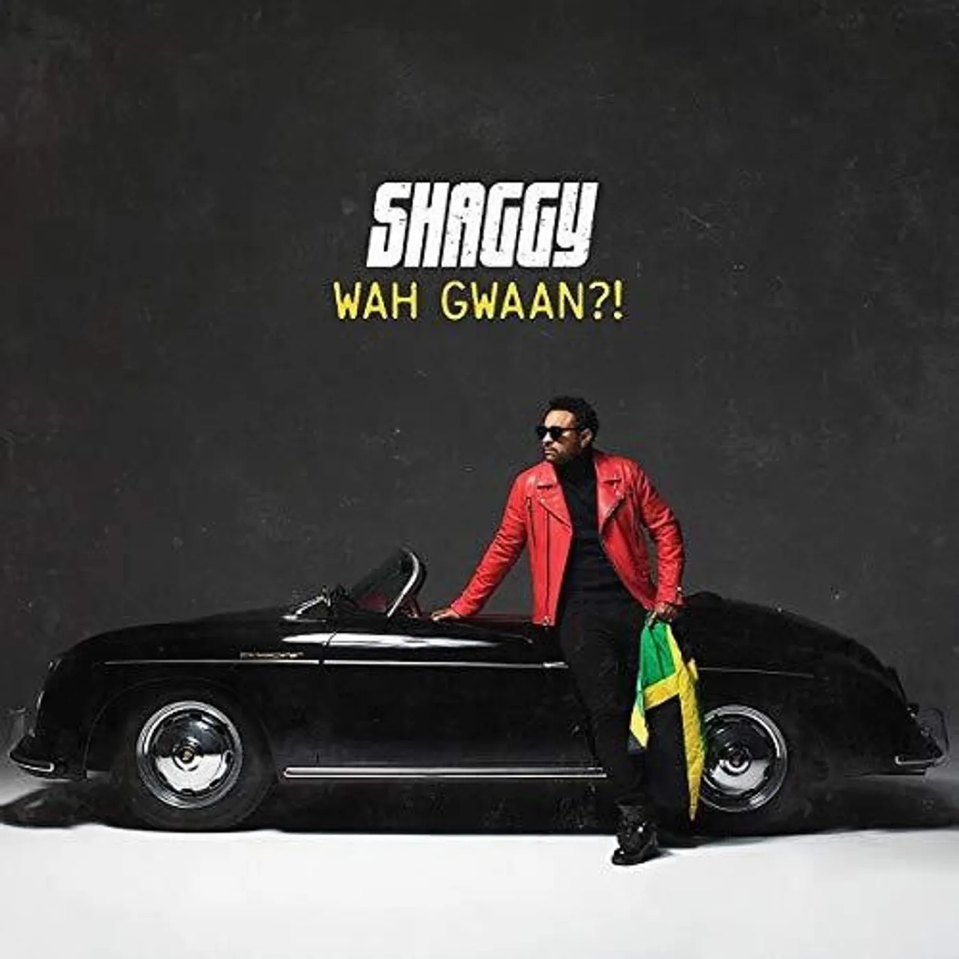 Shaggy WAH GWAAN Vinyl Record