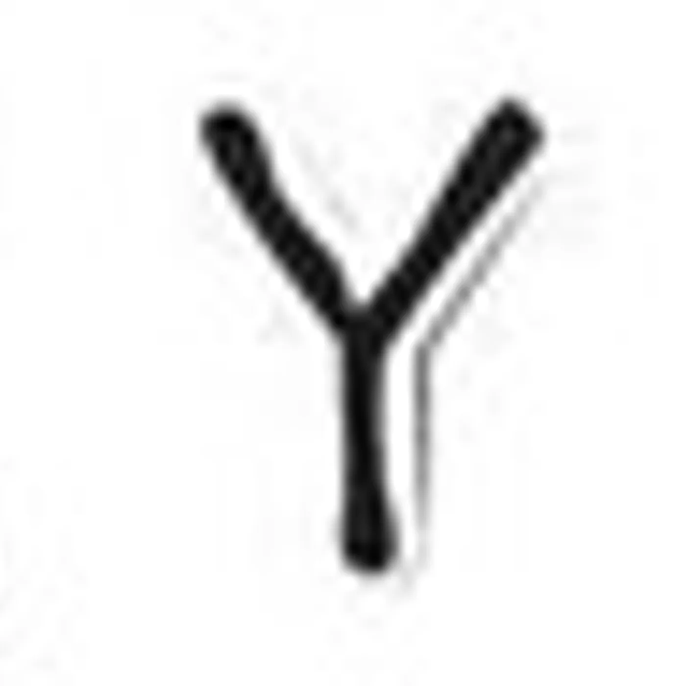 Whiskey Myers Vinyl Record