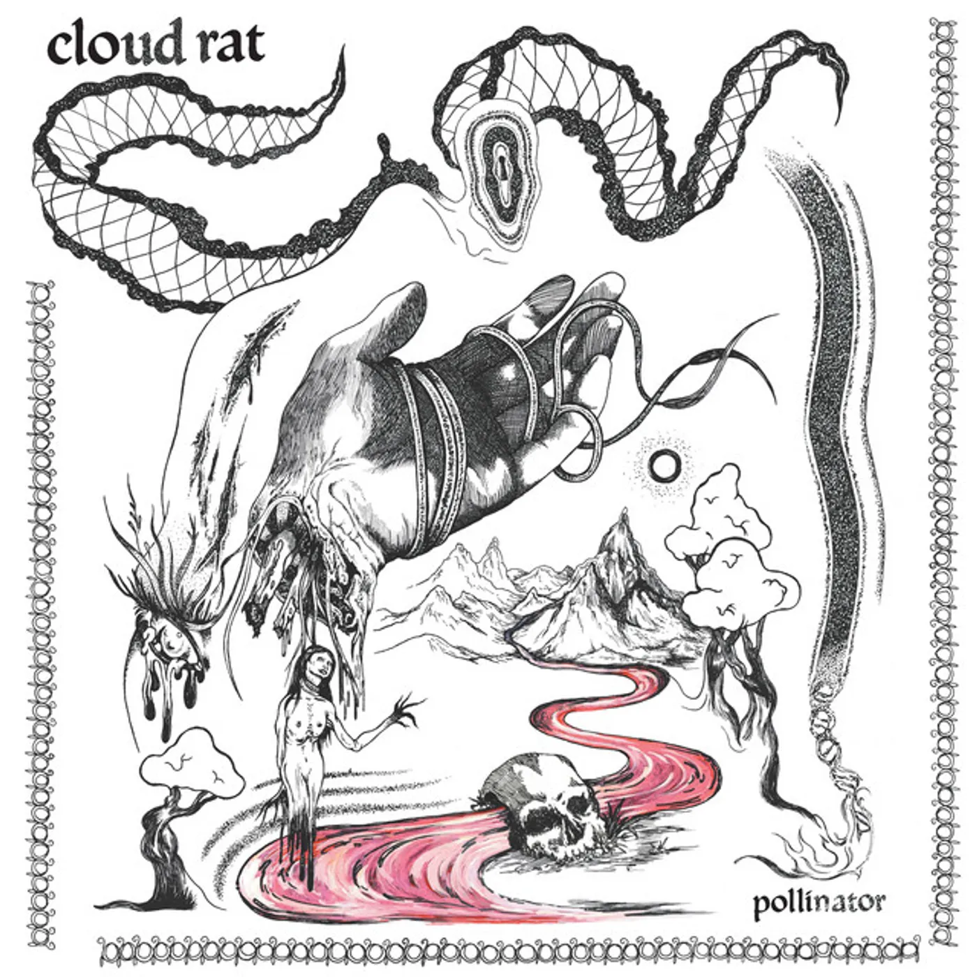 Cloud Rat POLLINATOR CD