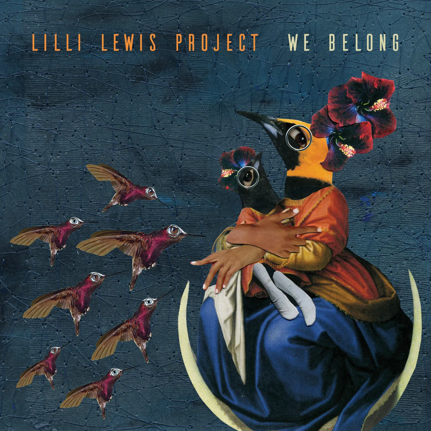 Lilli Lewis Project We Belong Vinyl Record