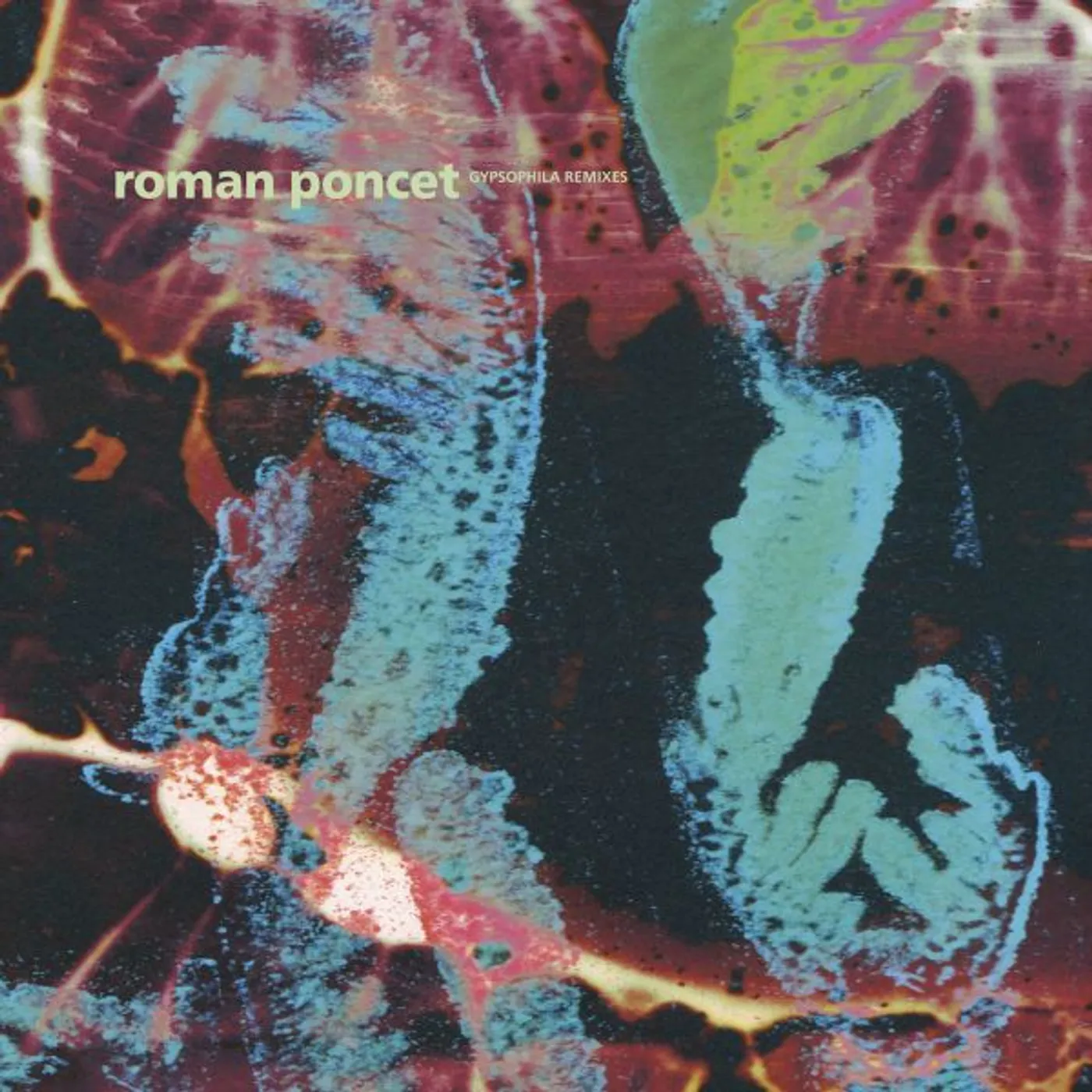 Roman Poncet Gypsophila Remixes Vinyl Record