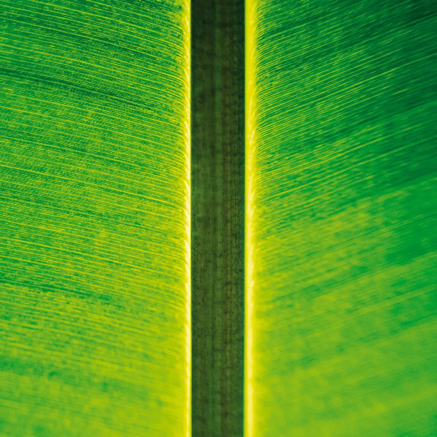 Fahmi Mursyid One Instrument Sessions Vinyl Record