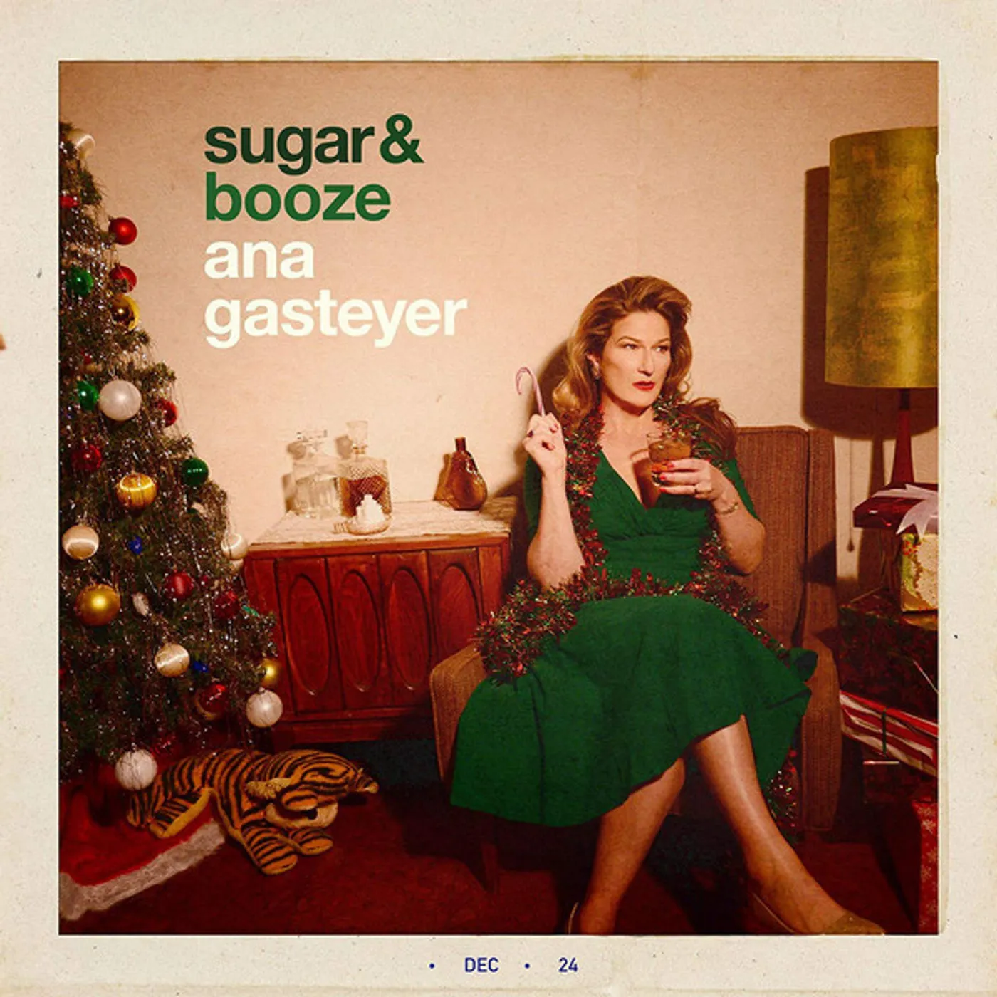 Ana Gasteyer Sugar & Booze Vinyl Record