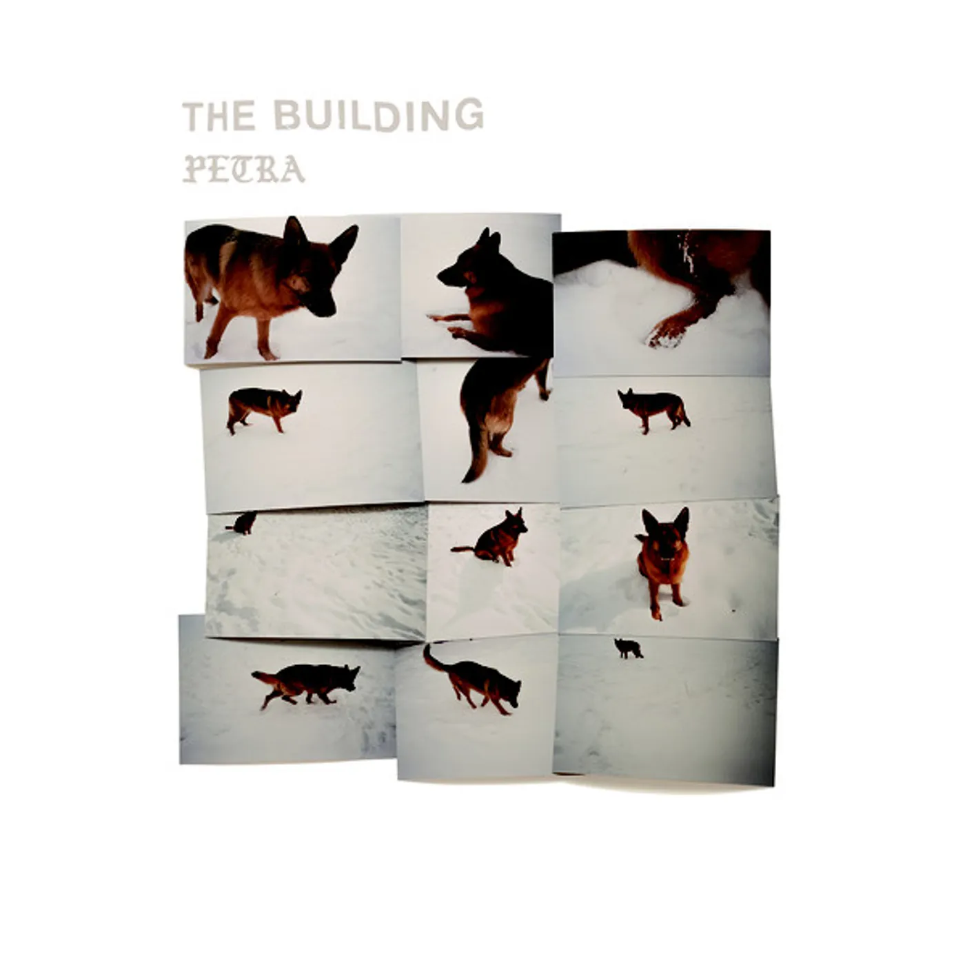 Building Petra Vinyl Record