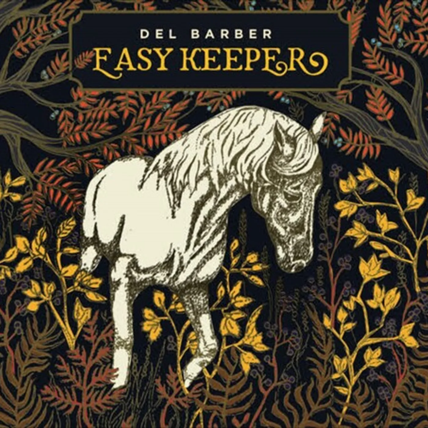 Del Barber EASY KEEPER CD