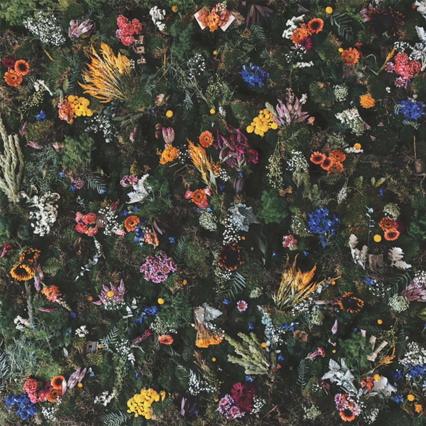 Winterbourne ECHO OF YOUTH CD