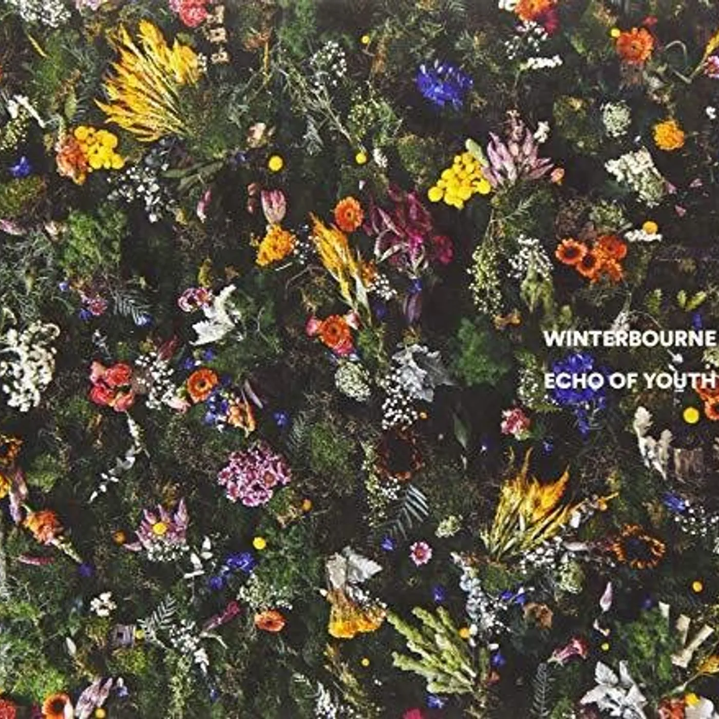 Winterbourne ECHO OF YOUTH CD