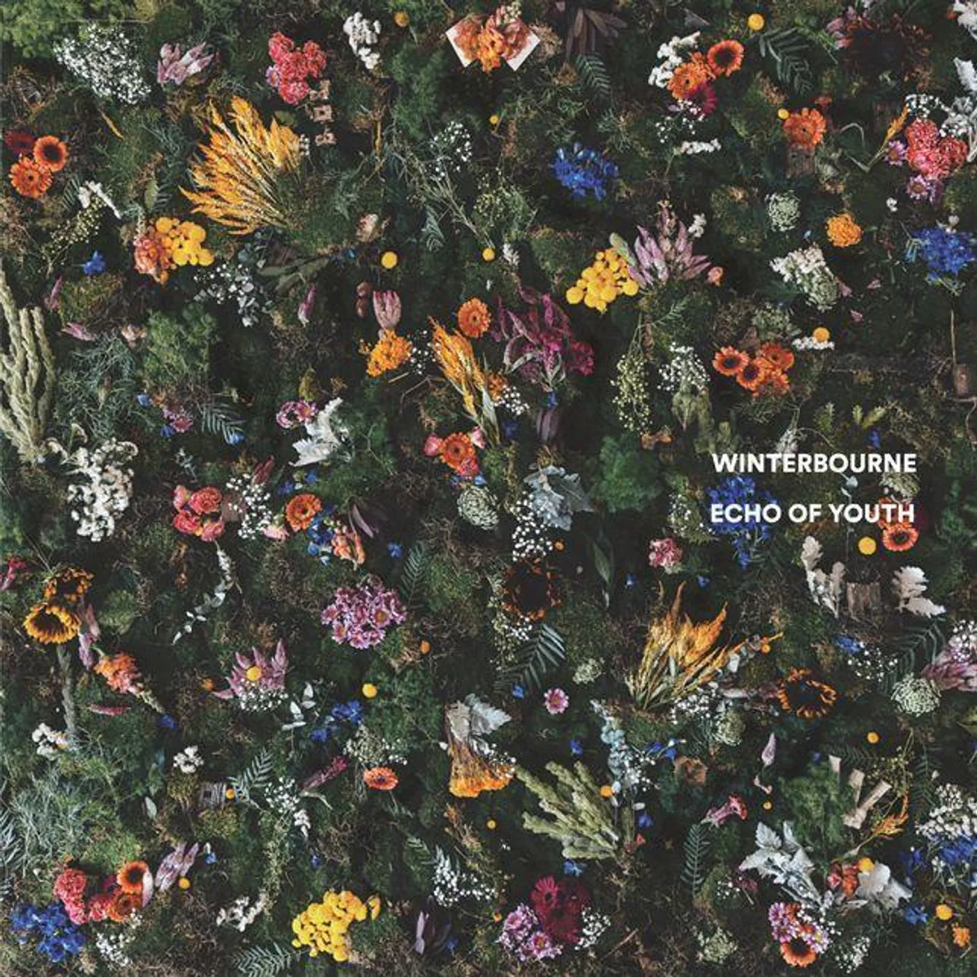Winterbourne Echo Of Youth Vinyl Record