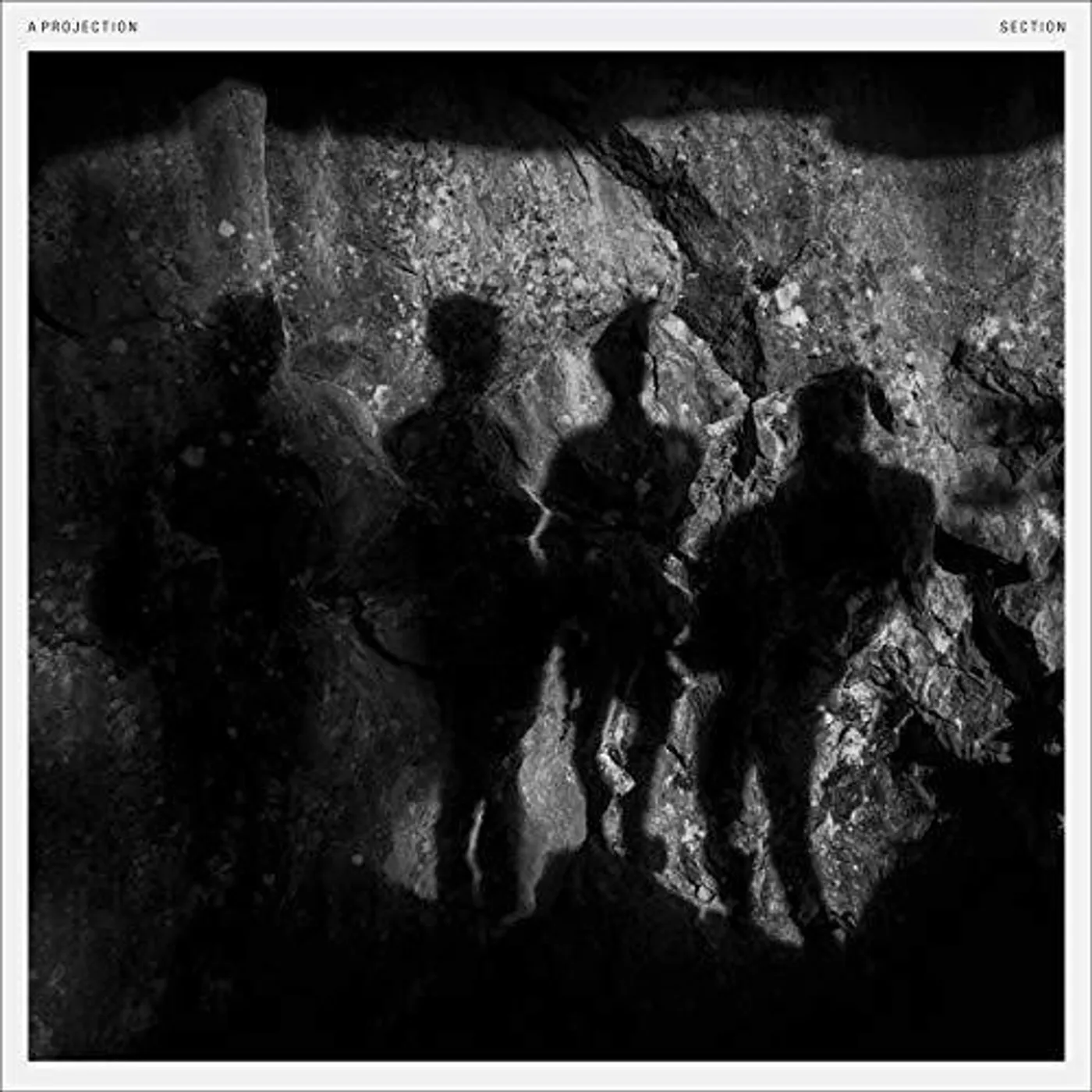 A Projection Section Vinyl Record