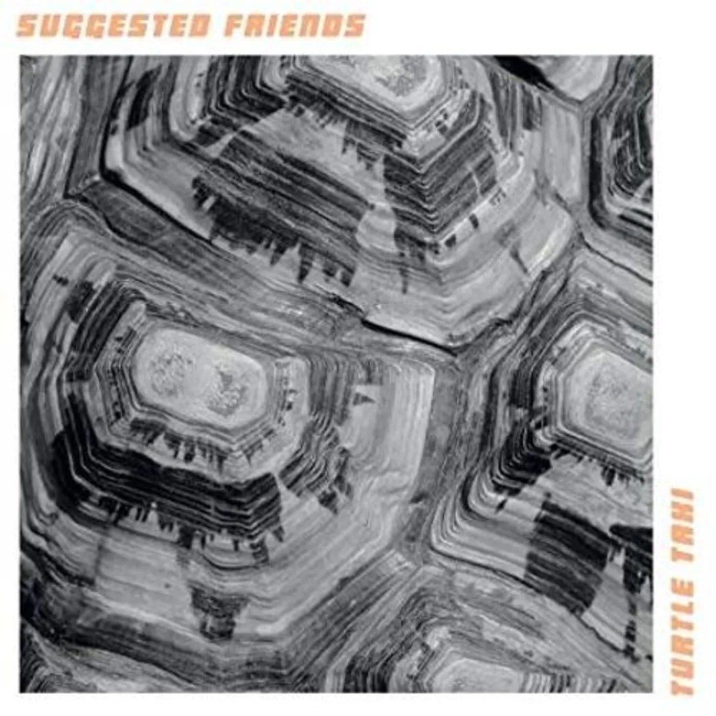 Suggested Friends Turtle Taxi Vinyl Record