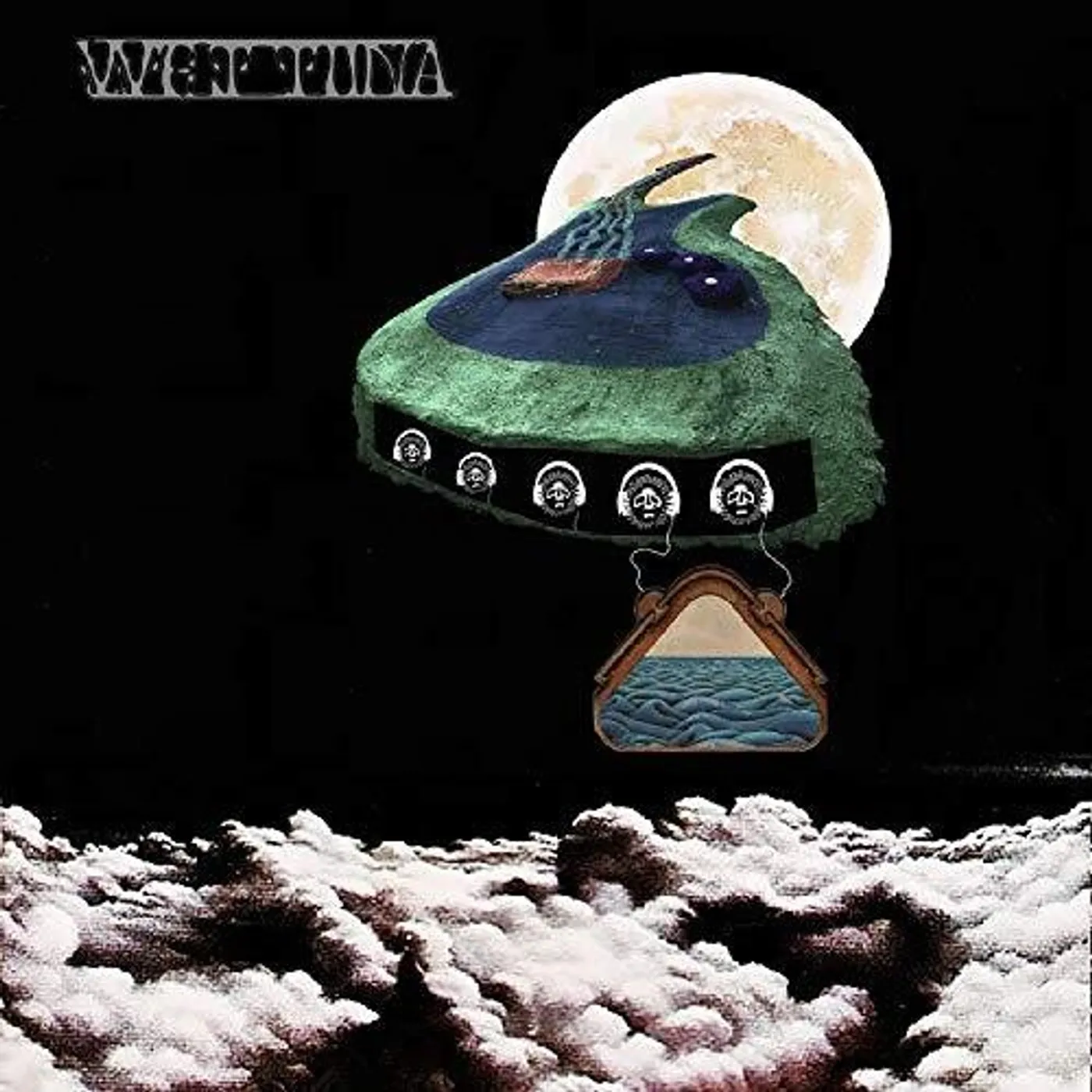 Wet Tuna Water Weird Vinyl Record