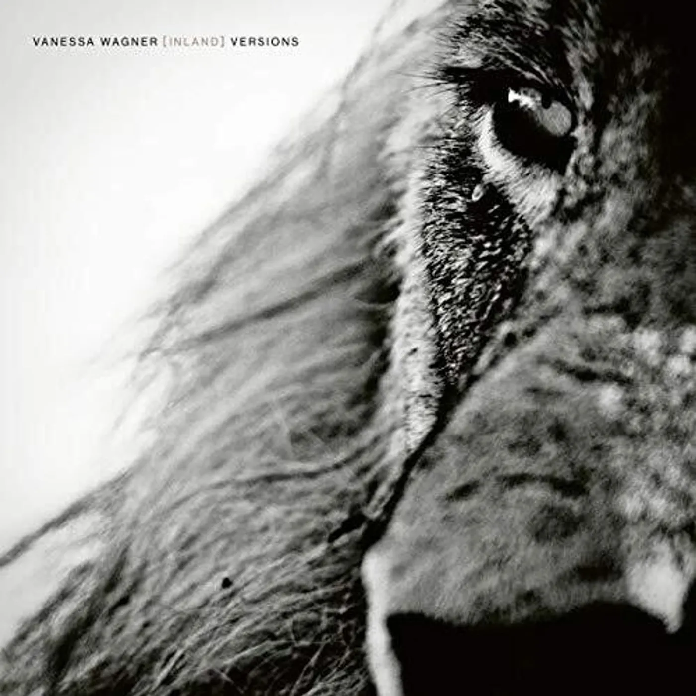 Vanessa Wagner Inland Versions Vinyl Record
