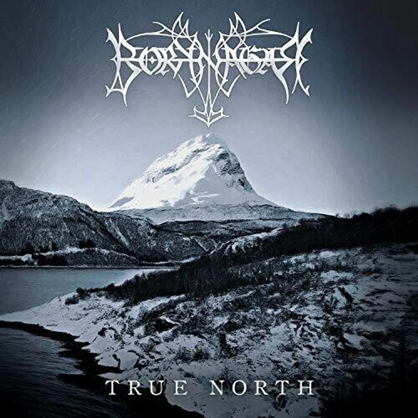 Borknagar True North Vinyl Record