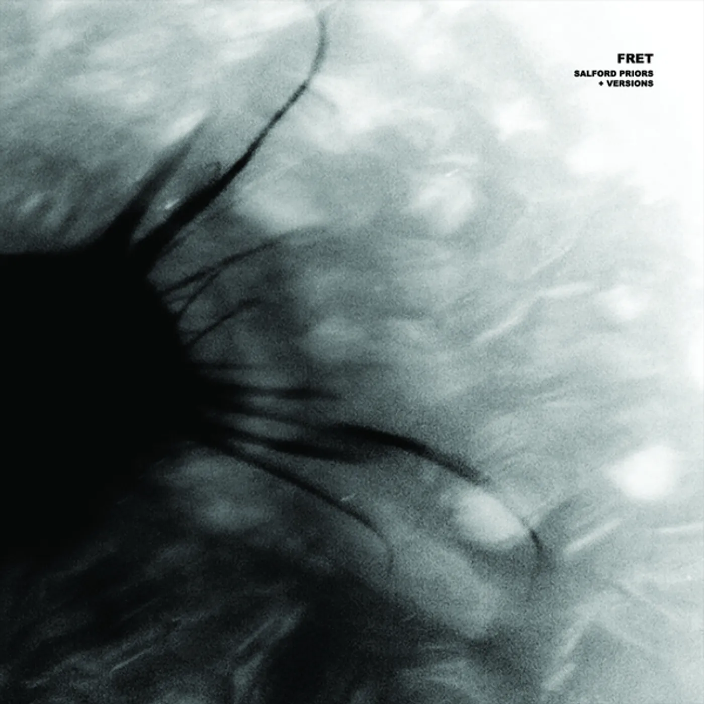 Fret SALFORD PRIORS & VERSION Vinyl Record