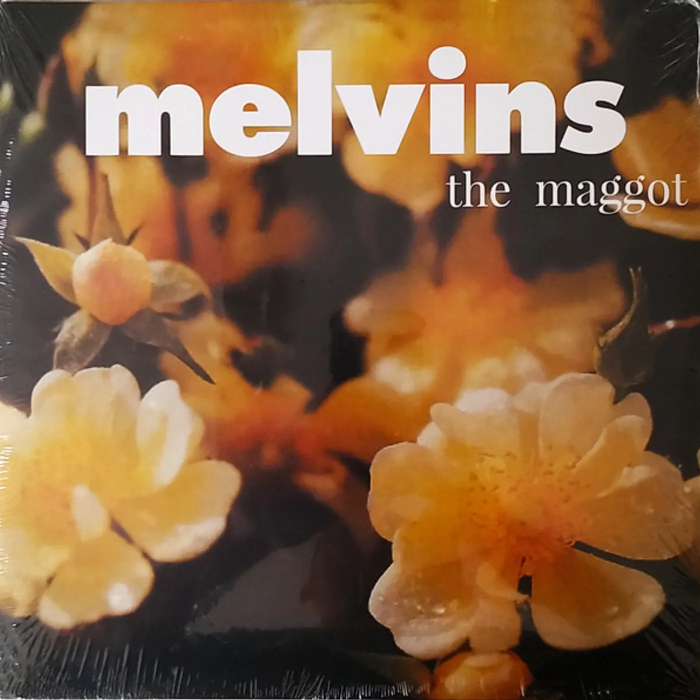 Melvins MAGGOT & THE BOOTLICKER Vinyl Record