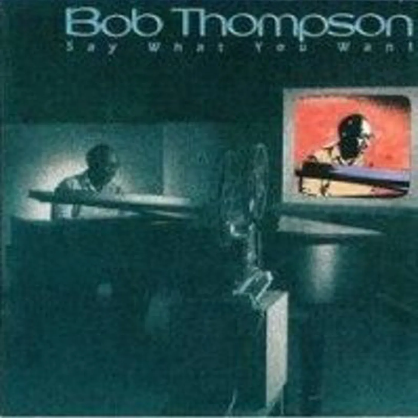 Bob Thompson Say What You Want Vinyl Record