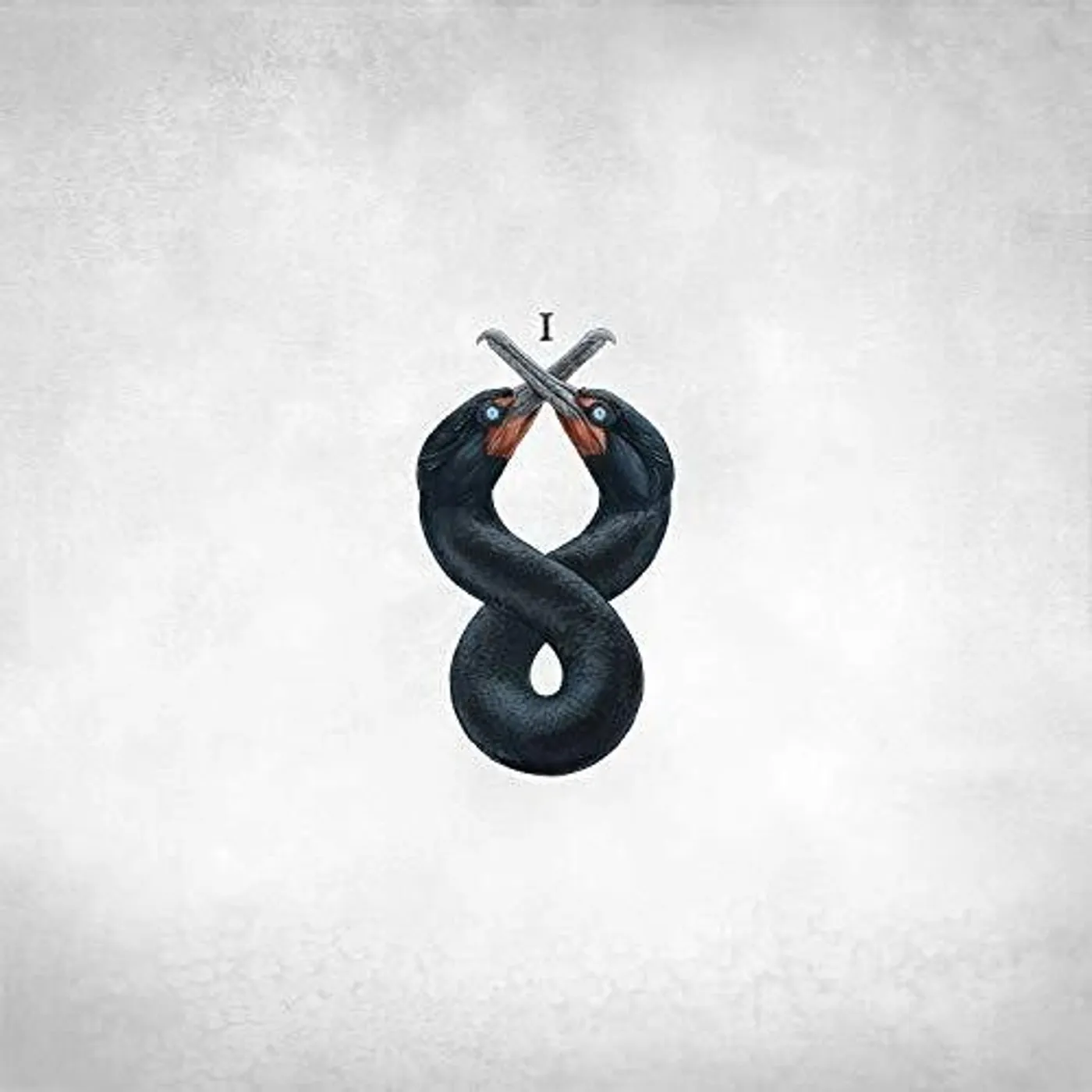 San Fermin CORMORANT I Vinyl Record