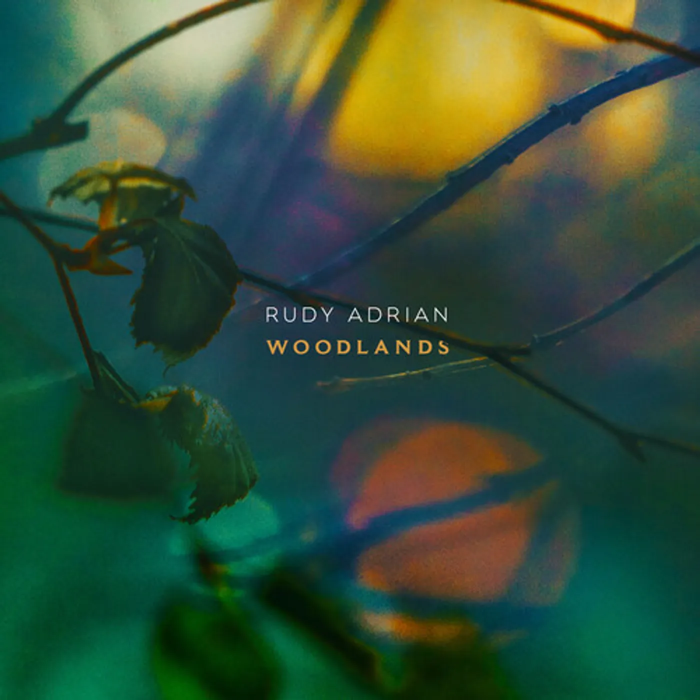 Rudy Adrian WOODLANDS CD
