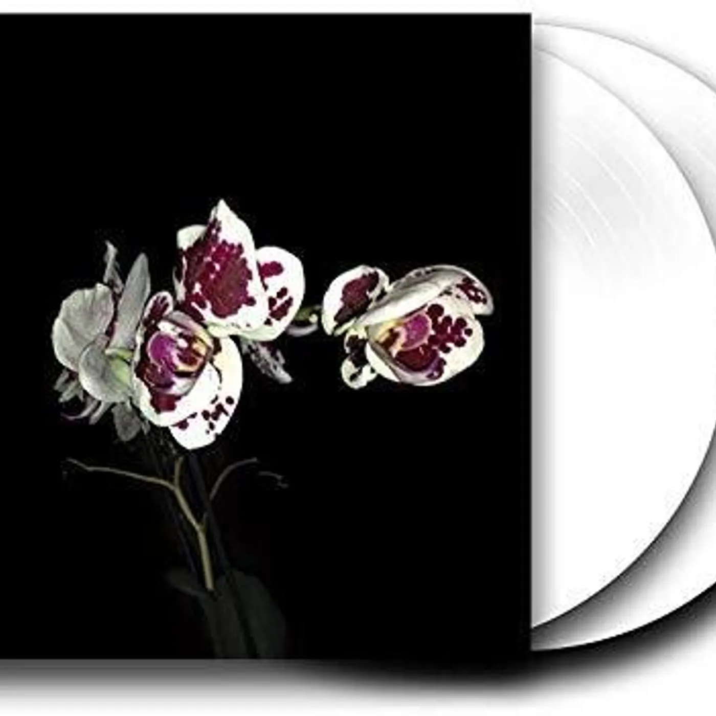 Afterhours Folfiri o Folfox Vinyl Record