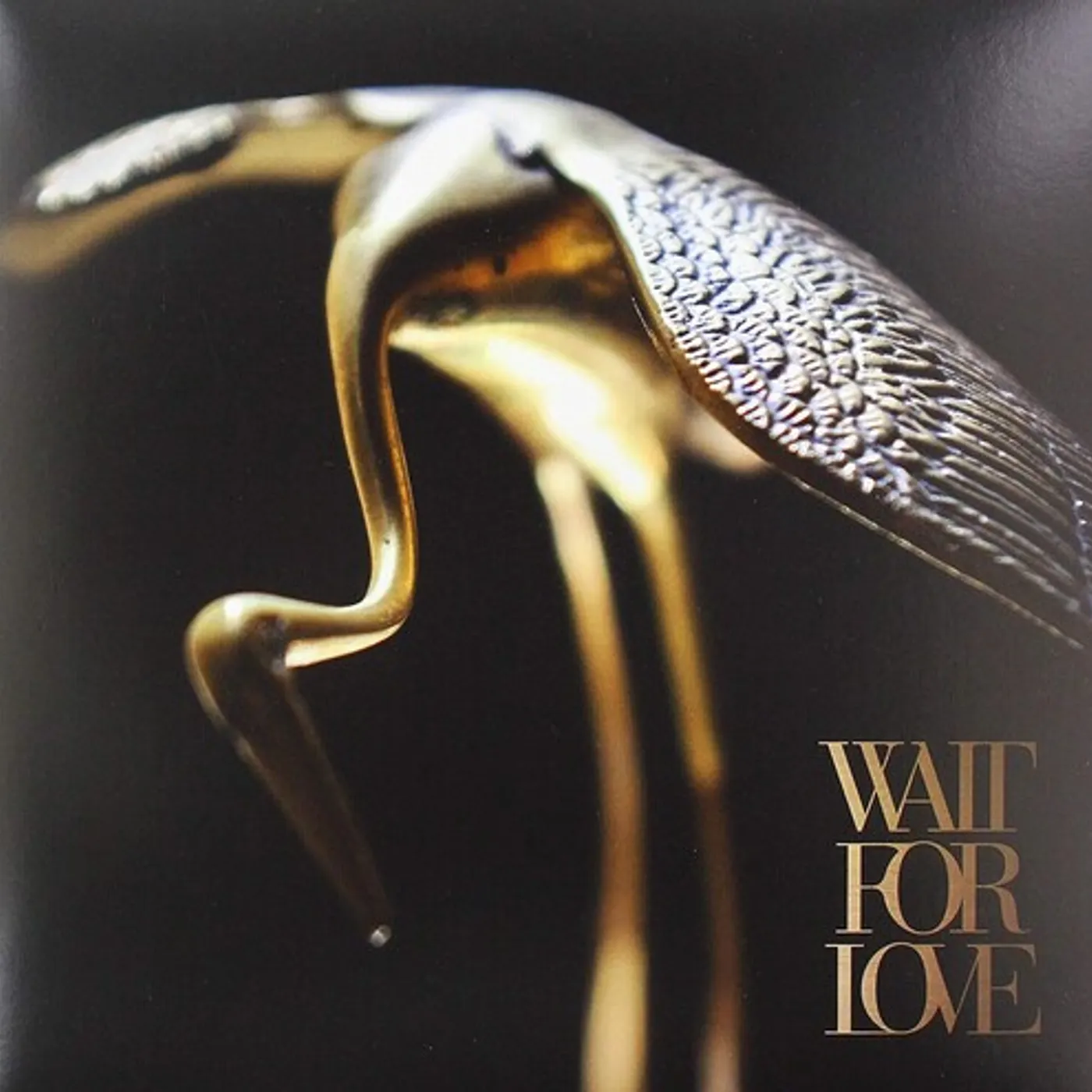 Pianos Become The Teeth Wait For Love Vinyl Record