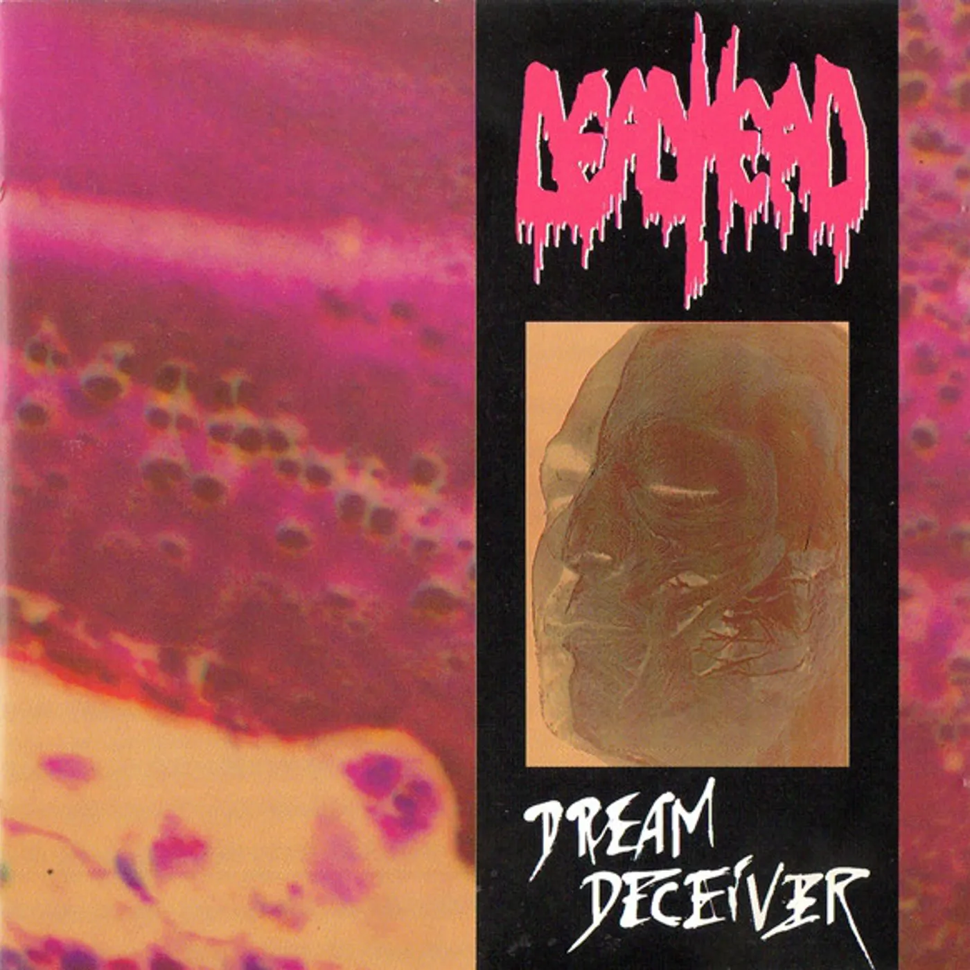 Dead Head Dream Deceiver Vinyl Record