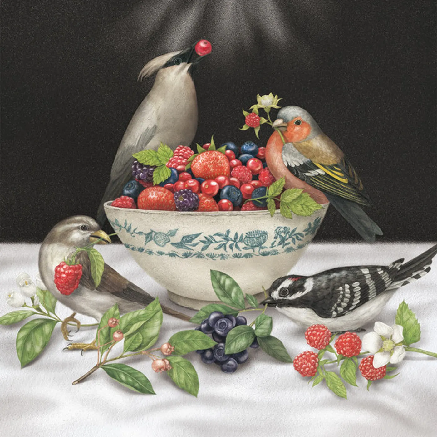 Sparrows BERRIES Vinyl Record