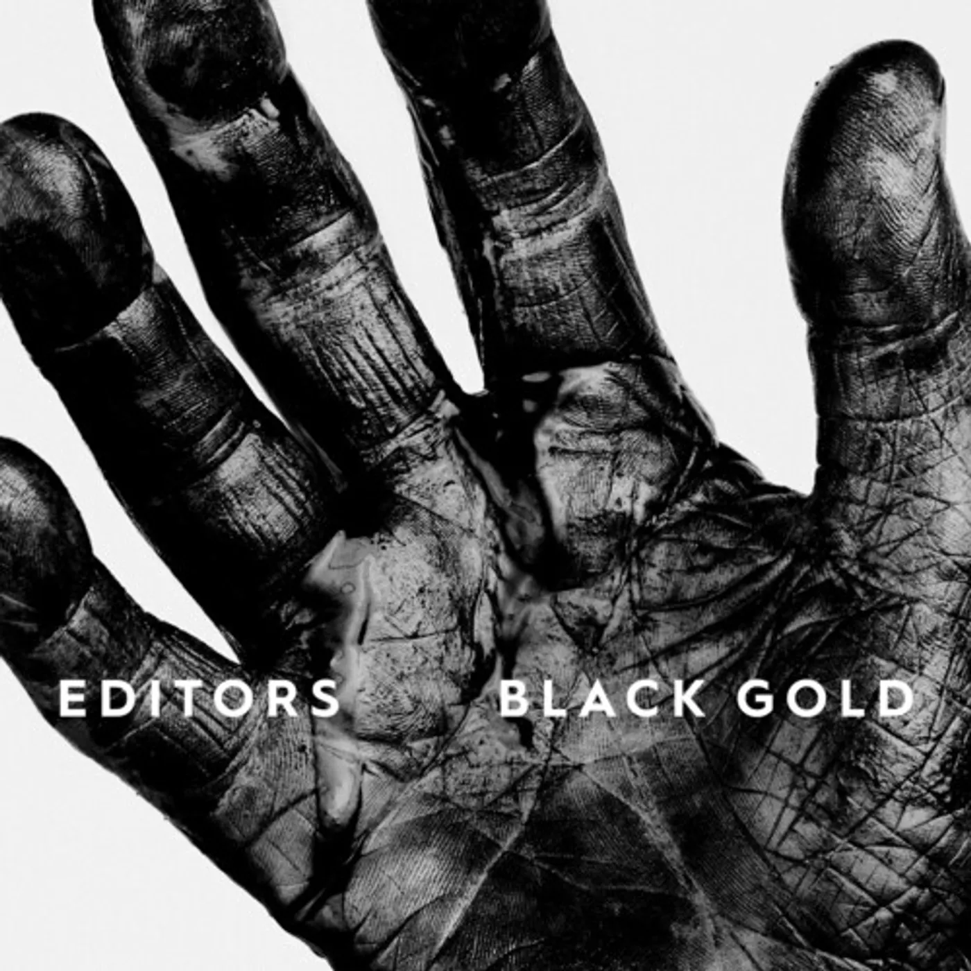BLACK GOLD - BEST OF EDITORS Vinyl Record