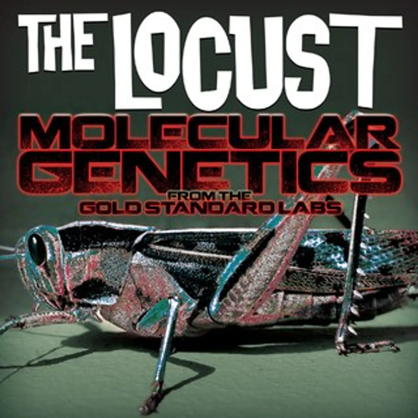 Locust MOLECULAR GENETICS FROM THE GOLD STANDARD Vinyl Record - Red Vinyl