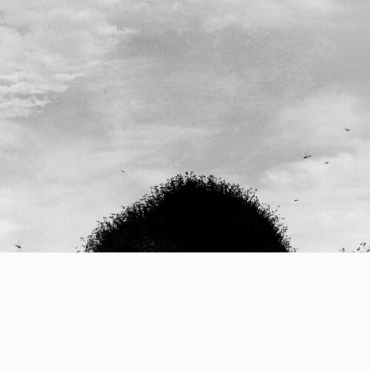 Chihei Hatakeyama Forgotten Hill Vinyl Record