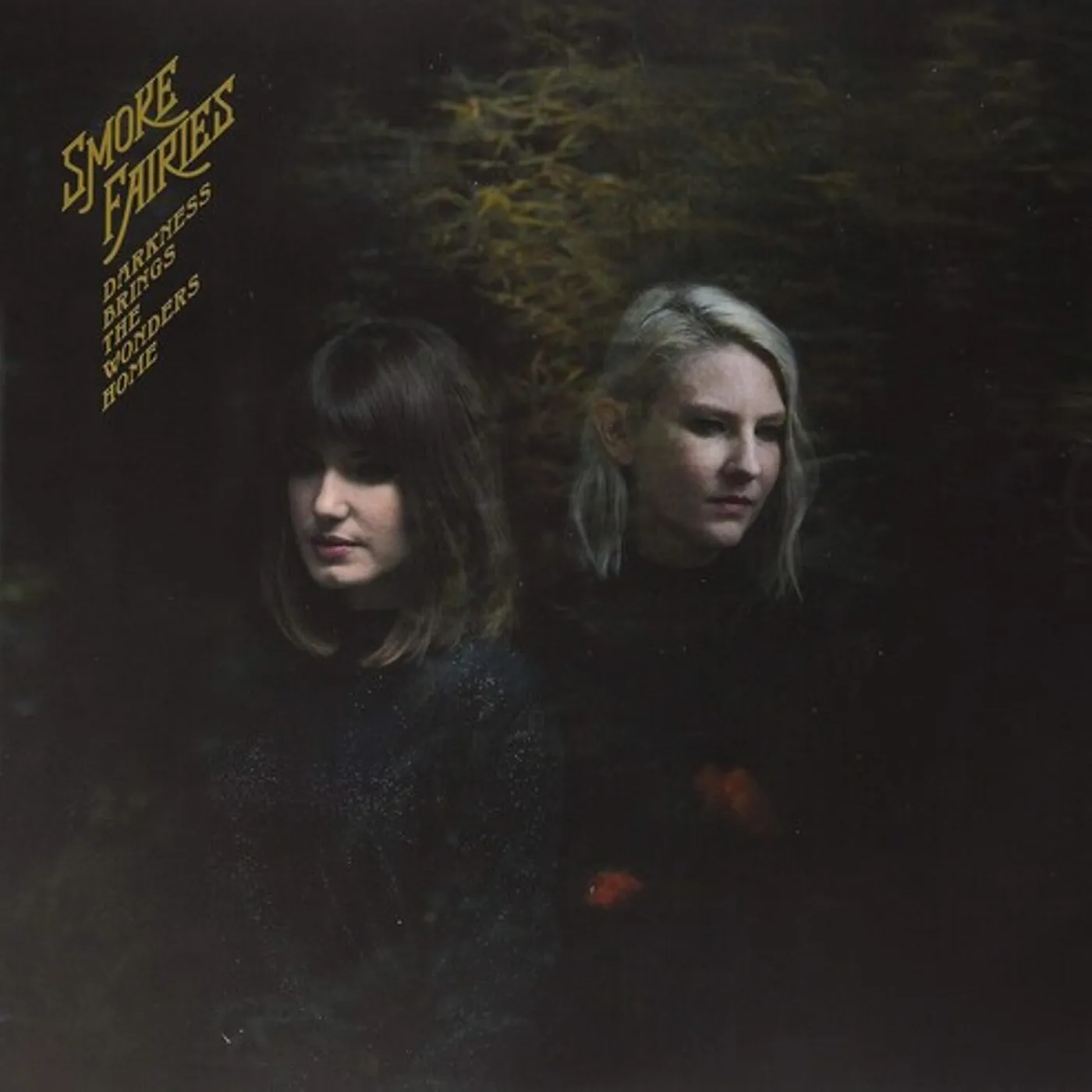 Smoke Fairies Darkness Brings The Wonders Home Vinyl Record