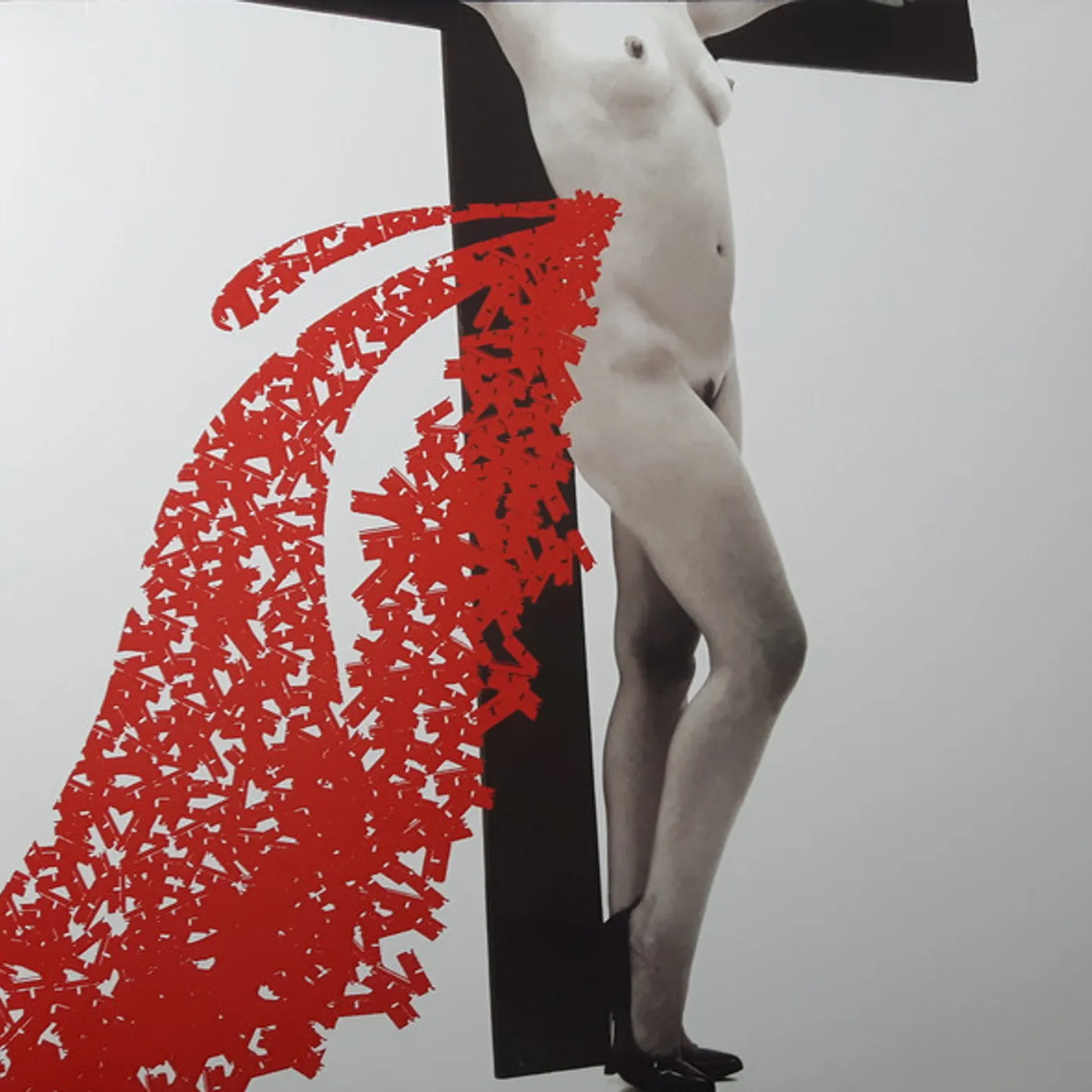 The Distillers Coral Fang Vinyl Record