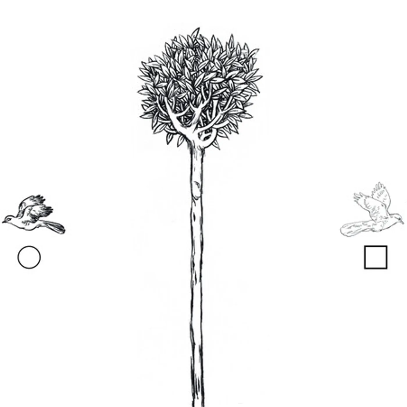 Richard Buckner Dents and Shells Vinyl Record