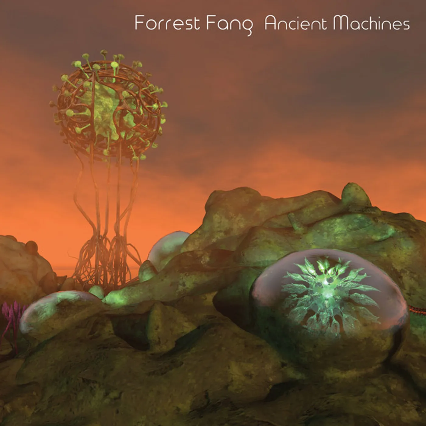 Forrest Fang ANCIENT MACHINES CD