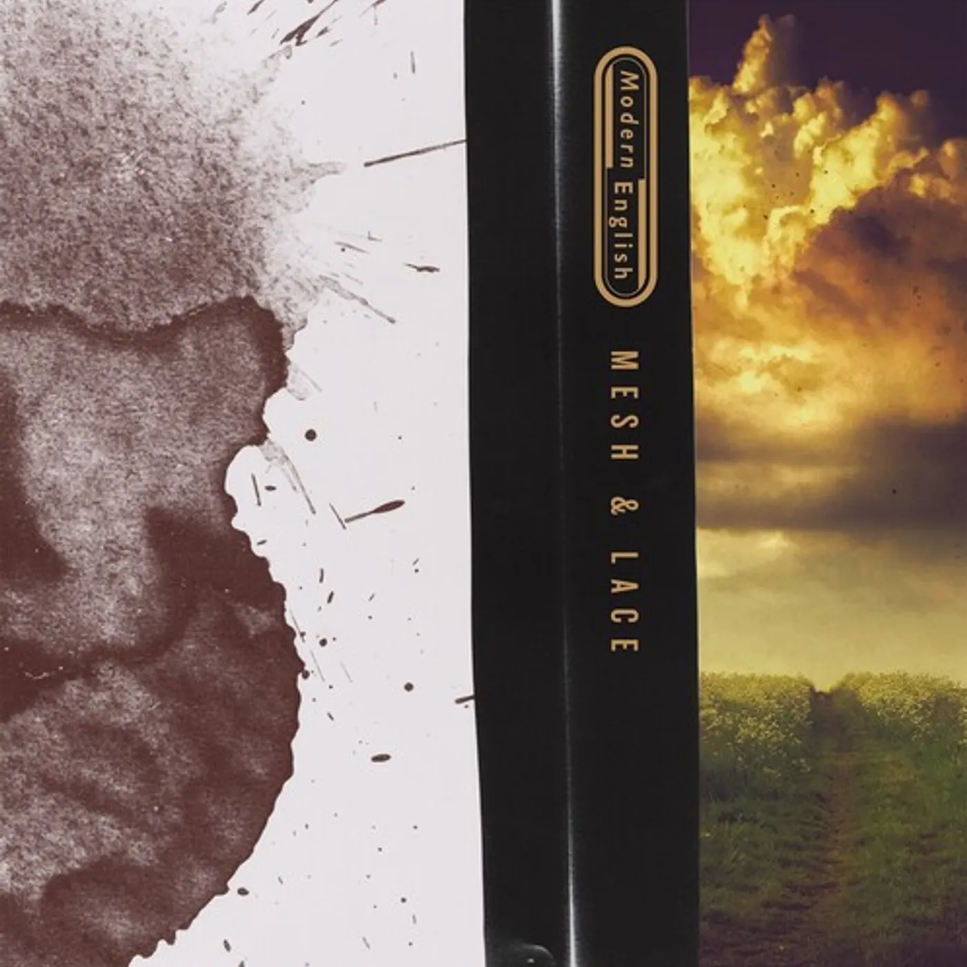 Modern English Mesh & Lace Vinyl Record