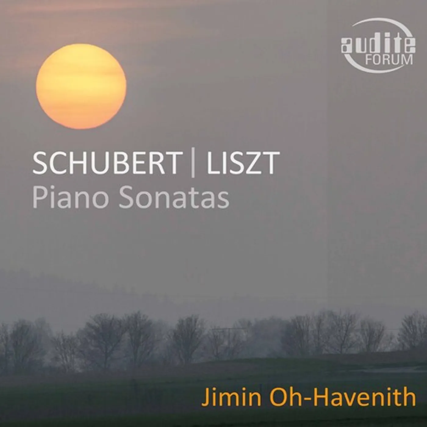 Jimin Oh-Havenith SCHUBERT: PIANO SONATA IN G MAJOR; LISZT: PIANO SONATA IN B MINOR CD