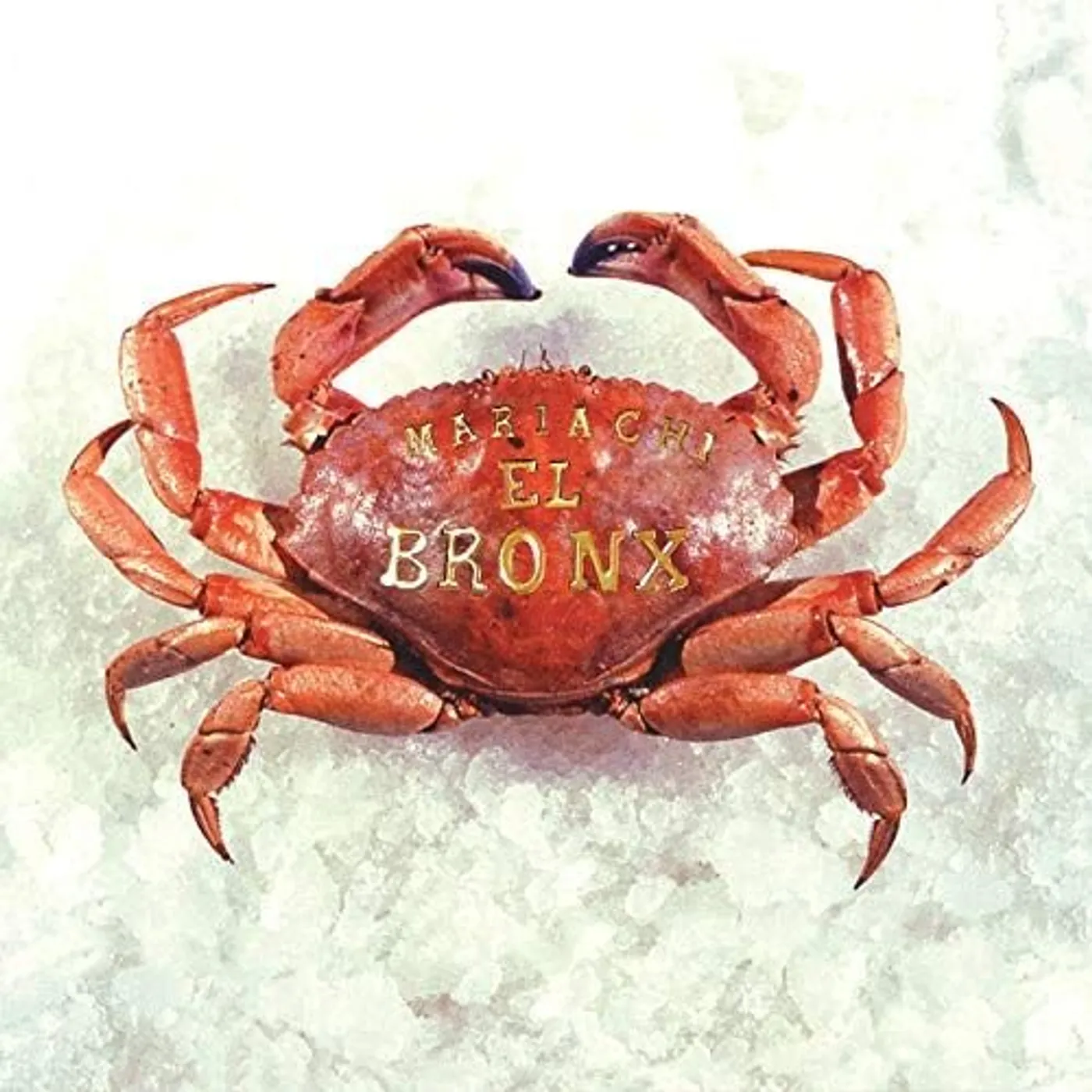 MARIACHI EL BRONX (10 YEAR ANNIVERSARY EDITION) Vinyl Record