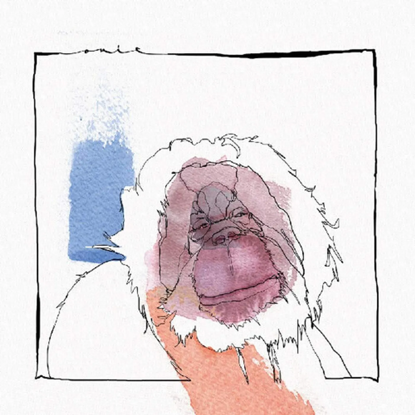 Acid Pauli Had to Get rid of some shit Vinyl Record