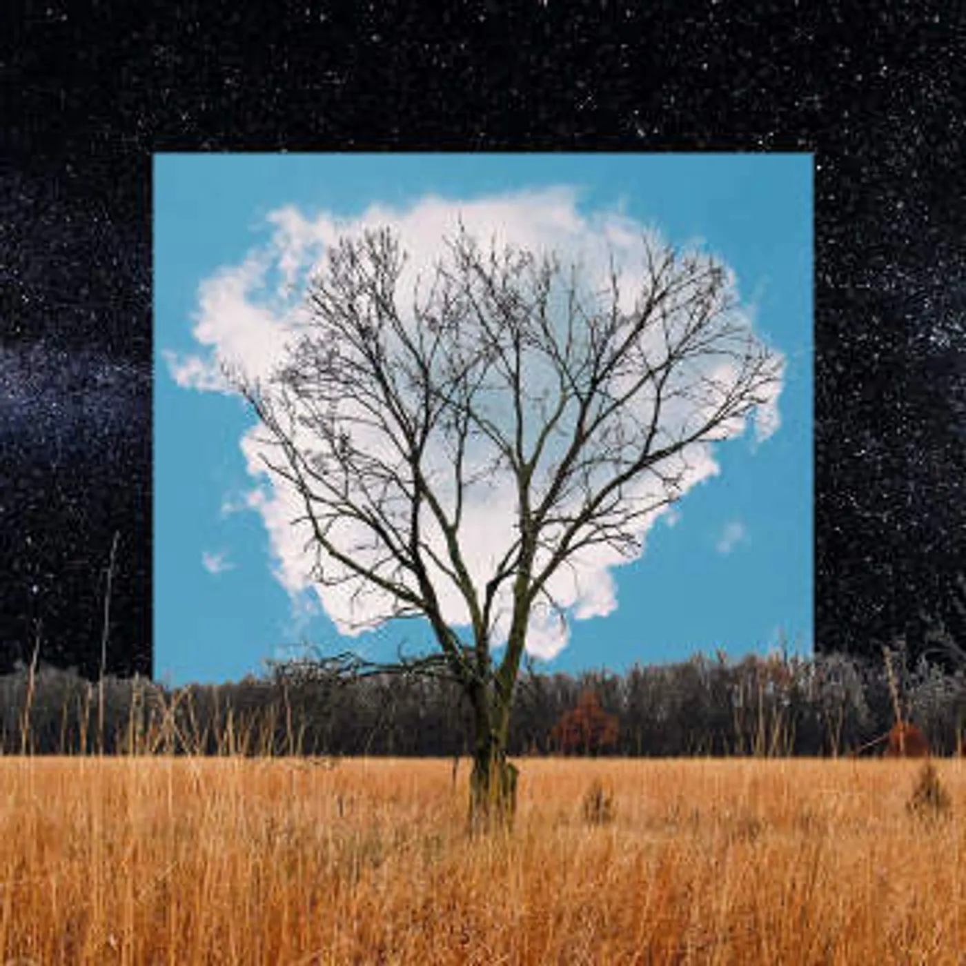 Fink Bloom Innocent Vinyl Record