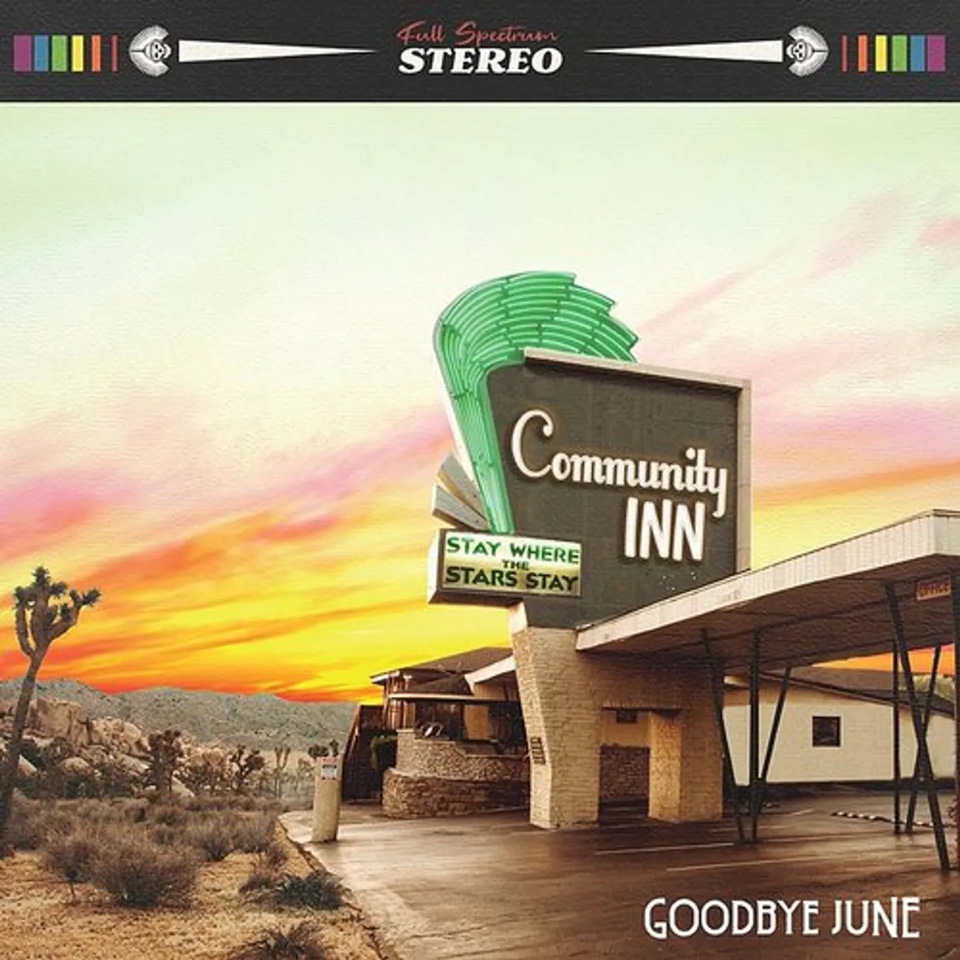 Goodbye June Community Inn Vinyl Record